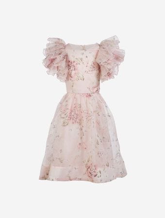 Petite Amalie Pink Print Dress