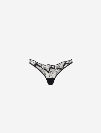 Bluebella Black Sheer Kalmia Thong