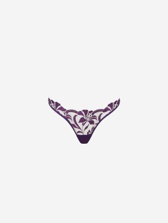 Bluebella Acai Purple Sheer Leonora Brief
