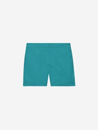 Frescobol Carioca Peacock Blue Club Green Classic Swim Shorts Ipanema Star Print
