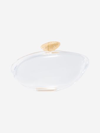 Benedetta Bruzziches Transparent Armonia Clutch