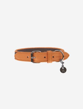 Mungo & Maud Chocolate Orange Preppy Collar