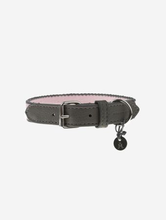 Mungo & Maud Rose Charcoal Preppy Collar